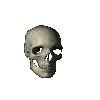 skull.gif 40.167 K